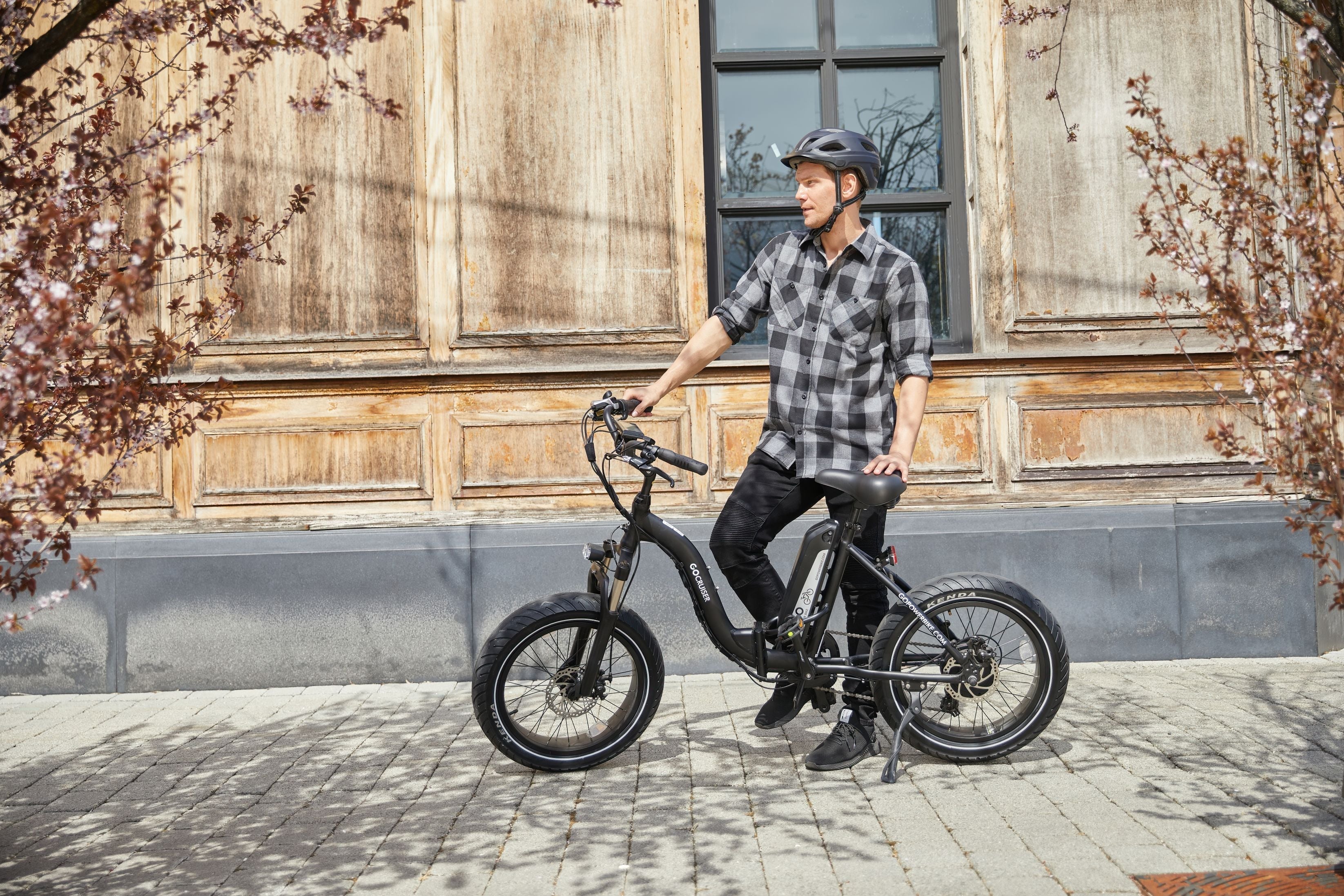 Electric Cruiser Bike Electric Bike, e-bike, power bike, go powerbike, electric bicycle, pedal assist bike, go power bikes,
