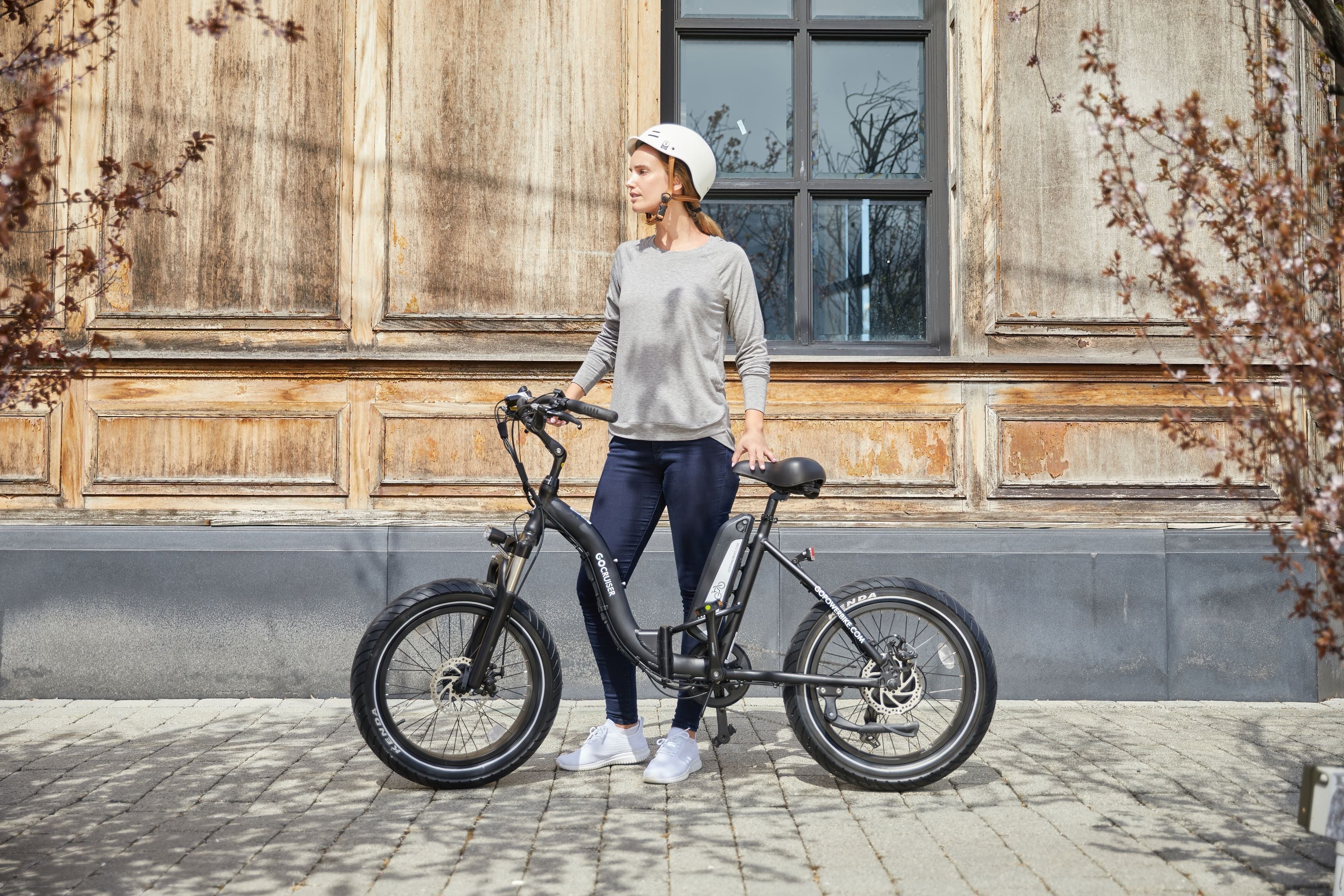 Electric Cruiser Bike
