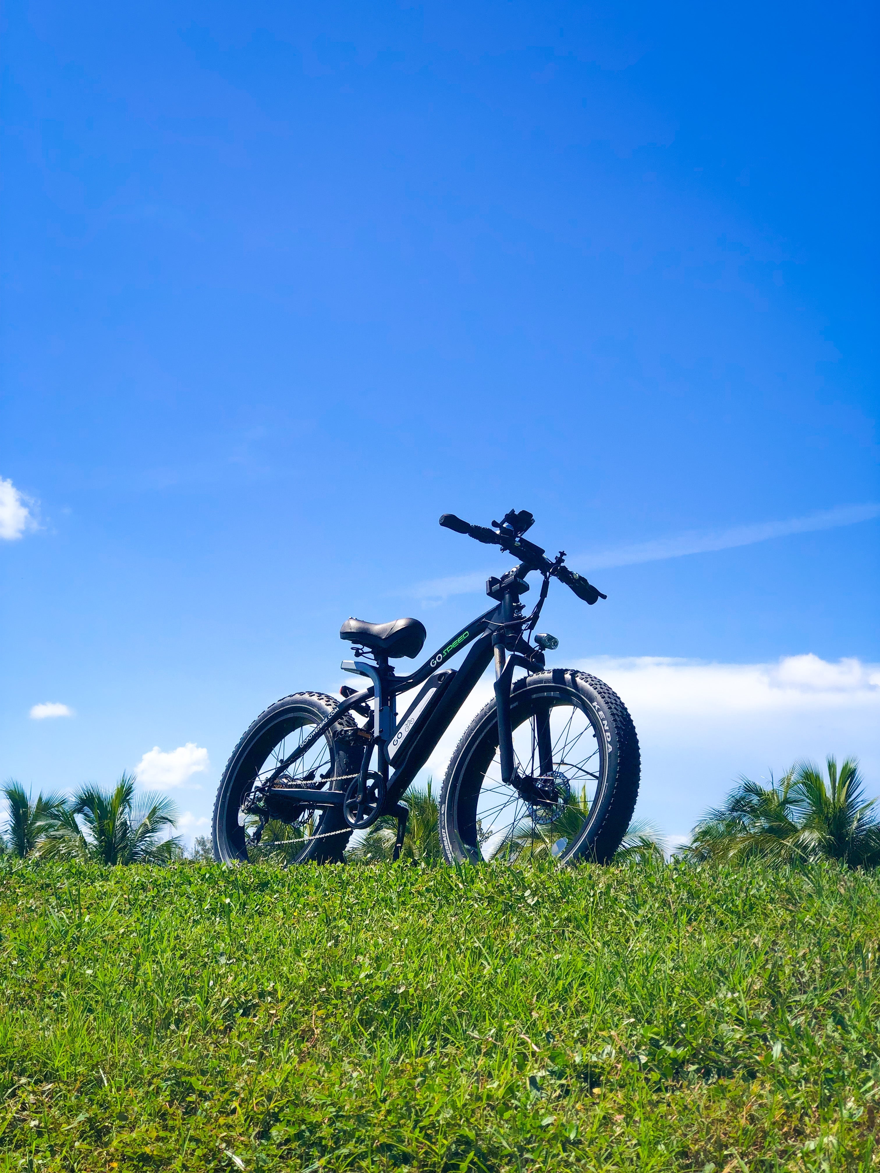 Bike, e-bike, power bike, go powerbike, electric bicycle, pedal assist bike, go power bikes