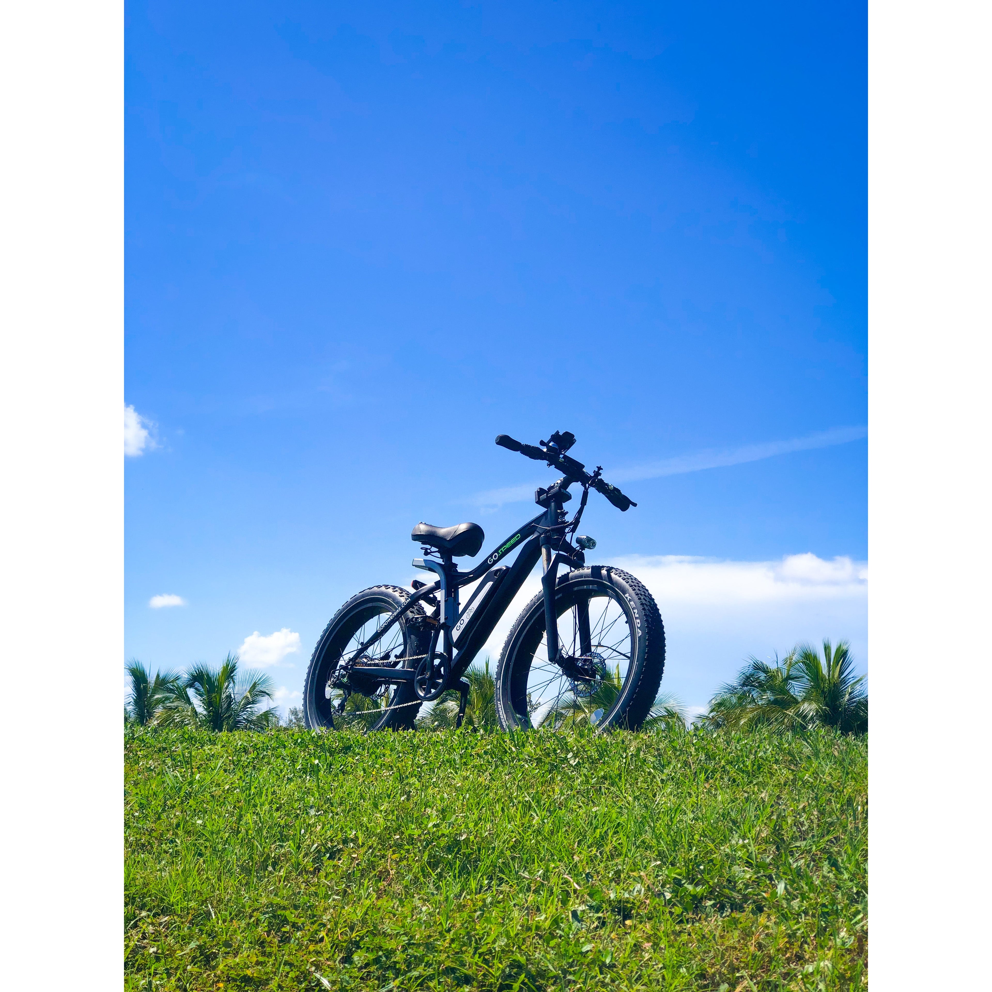 Bike, e-bike, power bike, go powerbike, electric bicycle, pedal assist bike, go power bikes