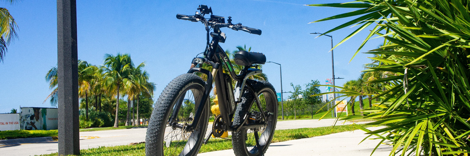 E-Bikes