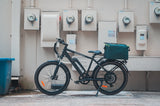 Electric Eagle Bike Bike, e-bike, power bike, go powerbike, electric bicycle, pedal assist bike, go power bikes 