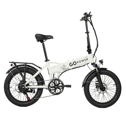 GoExpress V2