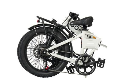 GoExpress V2