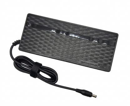 GoVelo Charger
