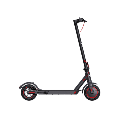 GoZoom