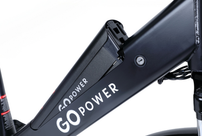 GoVelo Battery