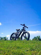  Bike, e-bike, power bike, go powerbike, electric bicycle, pedal assist bike, go power bikes 