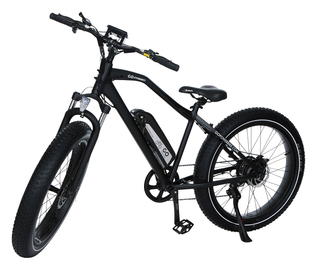 Electric Speed Bike