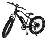 Electric Speed Bike
