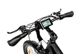 Electric Eagle Bike Bike, e-bike, power bike, go powerbike, electric bicycle, pedal assist bike, go power bikes 