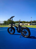  Bike, e-bike, power bike, go powerbike, electric bicycle, pedal assist bike, go power bikes 